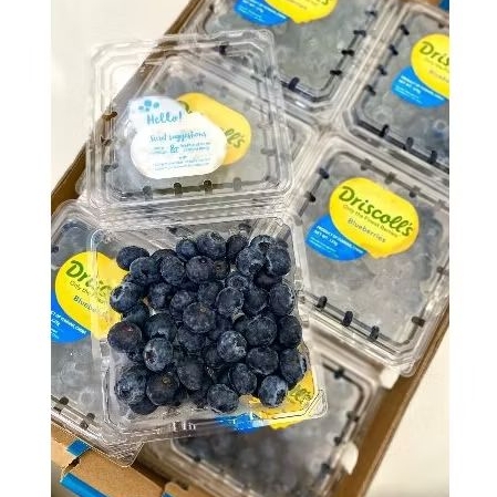 

blueberry fresh 125gr