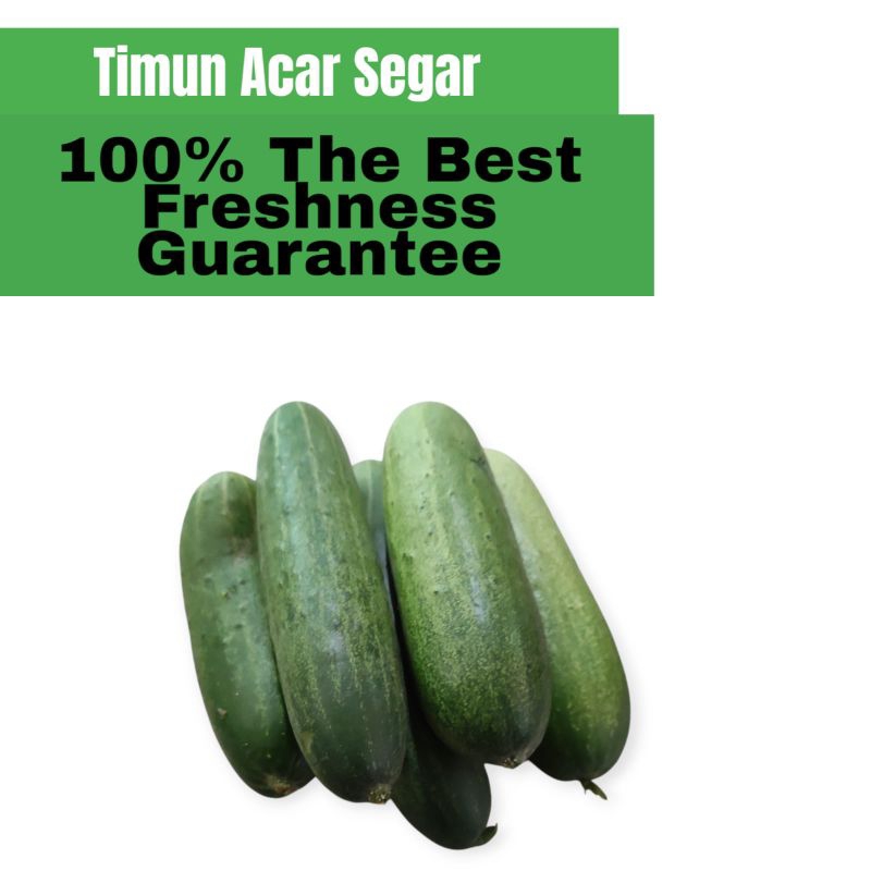 

Timun Acar Murah 100% Fresh 500gr dan 1kg
