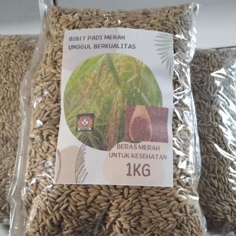 Benih Padi beras merah unggul 1kg