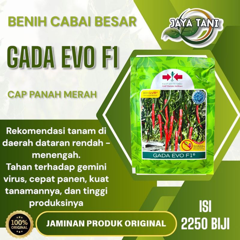 Benih Cabe Besar GADA EVO F1 isi 2250biji - Cap Panah Merah