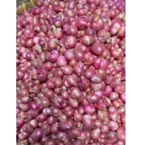 

BAWANG MERAH SUPER BANYUWANGI