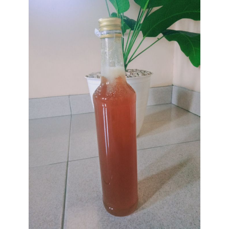 

madu klanceng /lebah klanceng asli murni dari petani