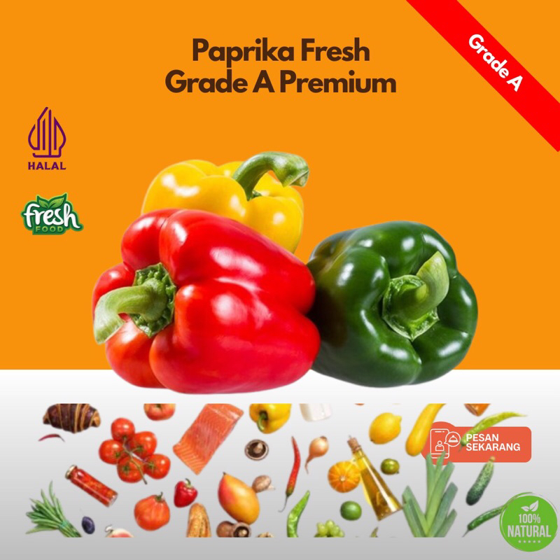 

Paprika Fresh Grade A Premium – 1 Buah (Merah / Kuning / Hijau)