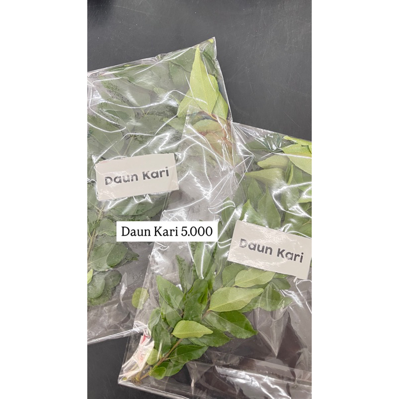 

DAUN KARI