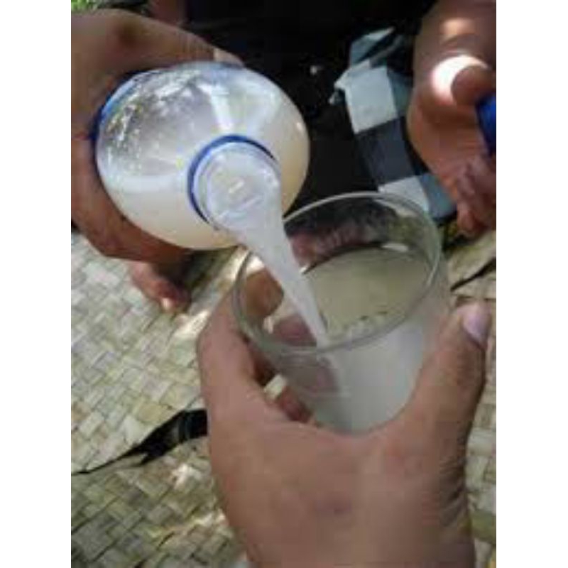 

T.K KHAS TUBAN MINUMAN PEMBERSIH PENCERNAAN SEGAR ALAMI(kemasan 4,5 liter dilapisi Plastik Fearst Anti Meletus)