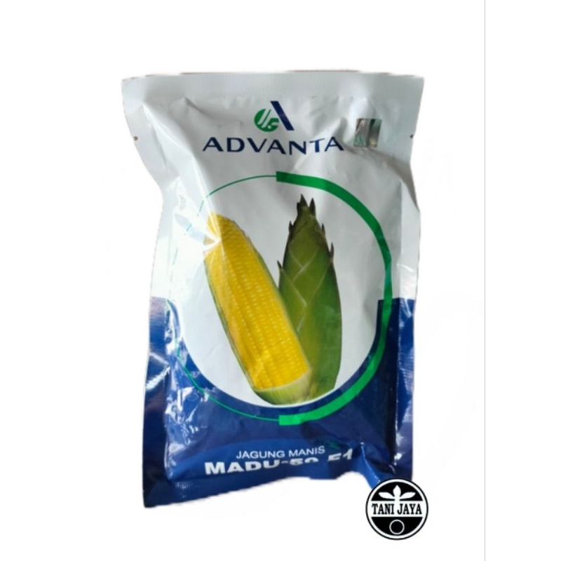 

JAGUNG MANIS MADU-59 F1 250 Gr