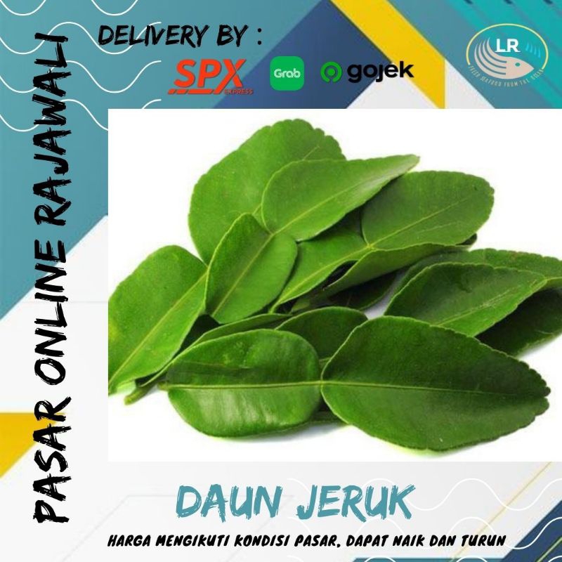 

Daun jeruk