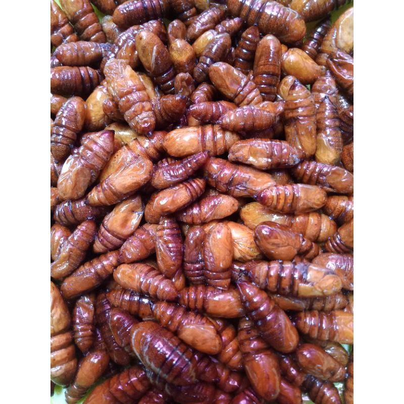 

Entung jati goreng wonogiri.sangat lezat di temani nasi dan sambal