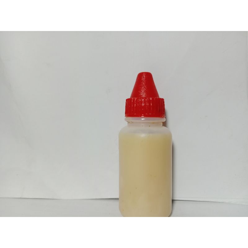 essen oplosan kweni kamper