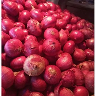 

bawang batu merah premium ukuran sedang