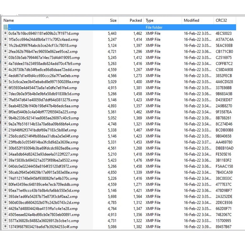 PRESET WEDDING.PREWEDD.HUNTING.MODEL LR/PHOTOSHOP HENGKY