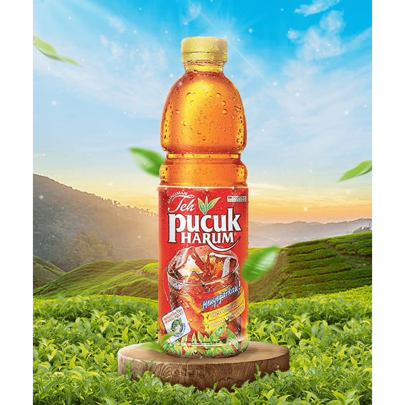

teh pucuk