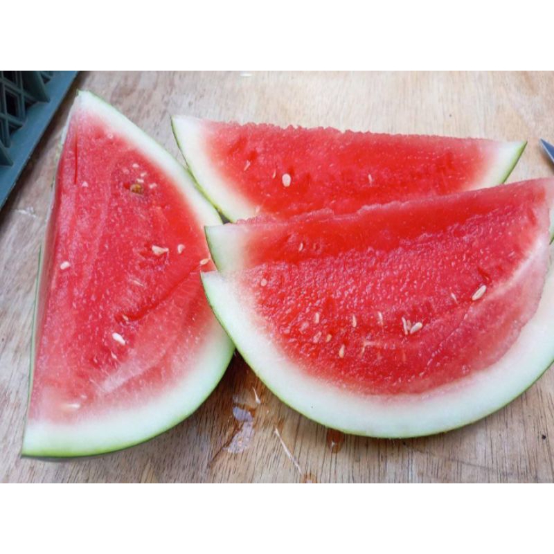 

buah semangka merah manis 1buah