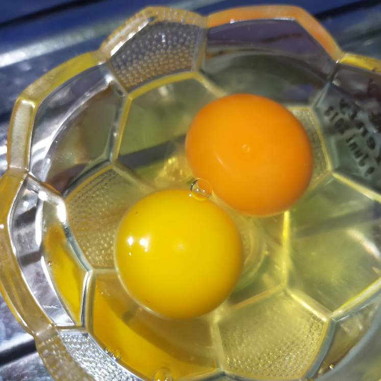 

Telur Ayam Negri OMEGA New & Fresh (KG)