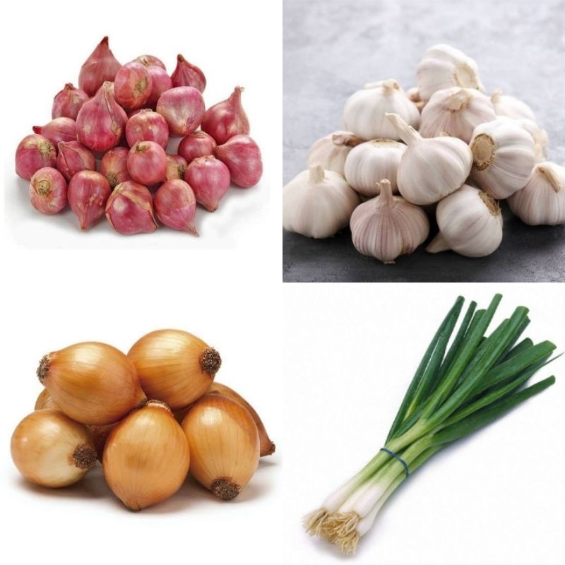 

bawang merah // bawang putih // bawang Bombay // daun bawang