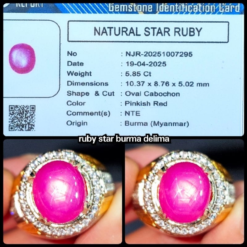 natural ruby burma star belang koi windusara HQ