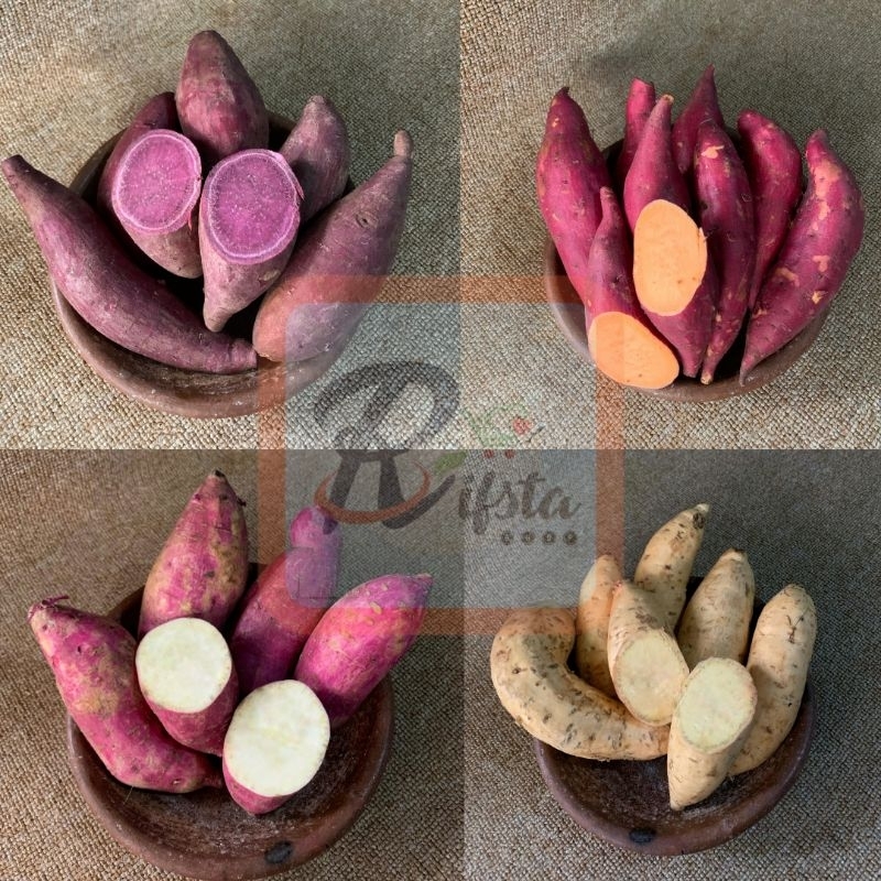 

Ubi Mentah Segar 1 kg