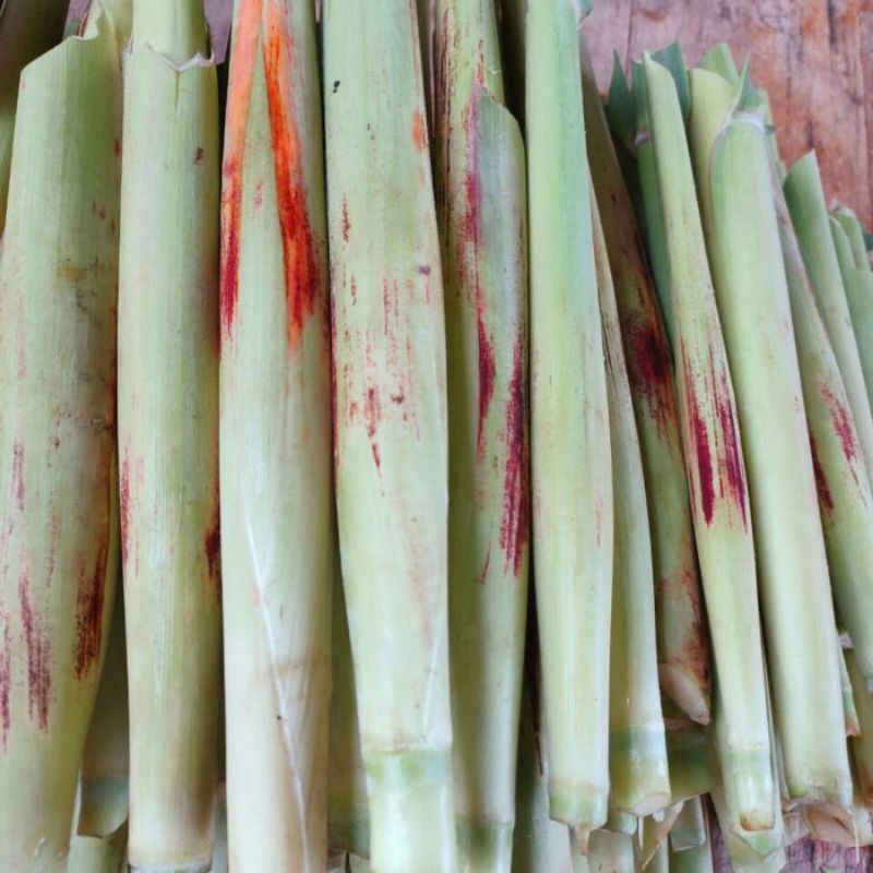 

trubuk pilihan besar2 per 1 iket isi 10