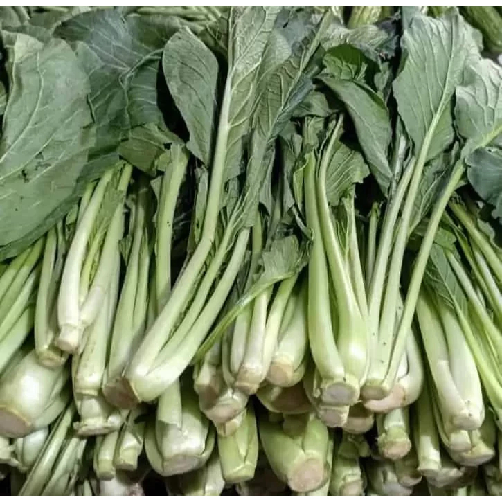 

Sayur Sawi Hijau 1 ikat - Mustard greens