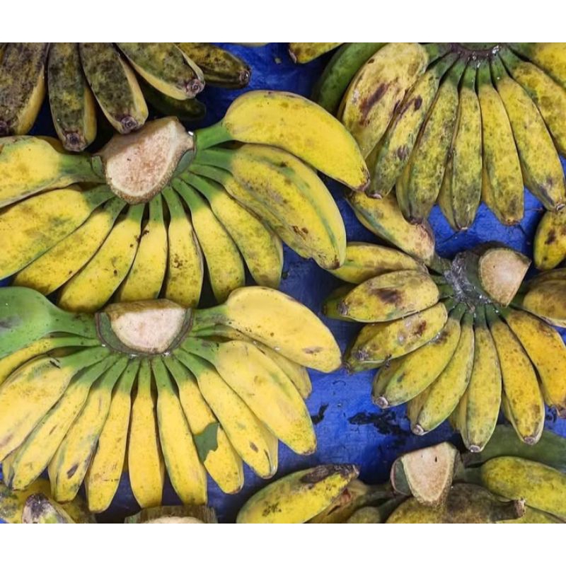 

pisang kepok 1 sisir