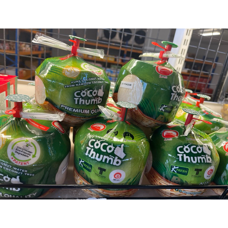 

Kelapa Kulit Coco Thumb Thailand 1pcs