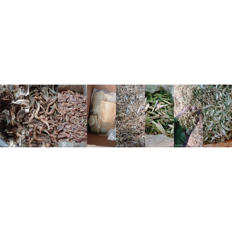 

aneka jenis ikan asin kemasan 100 gram 250 gram 500 gram 1000 gram
