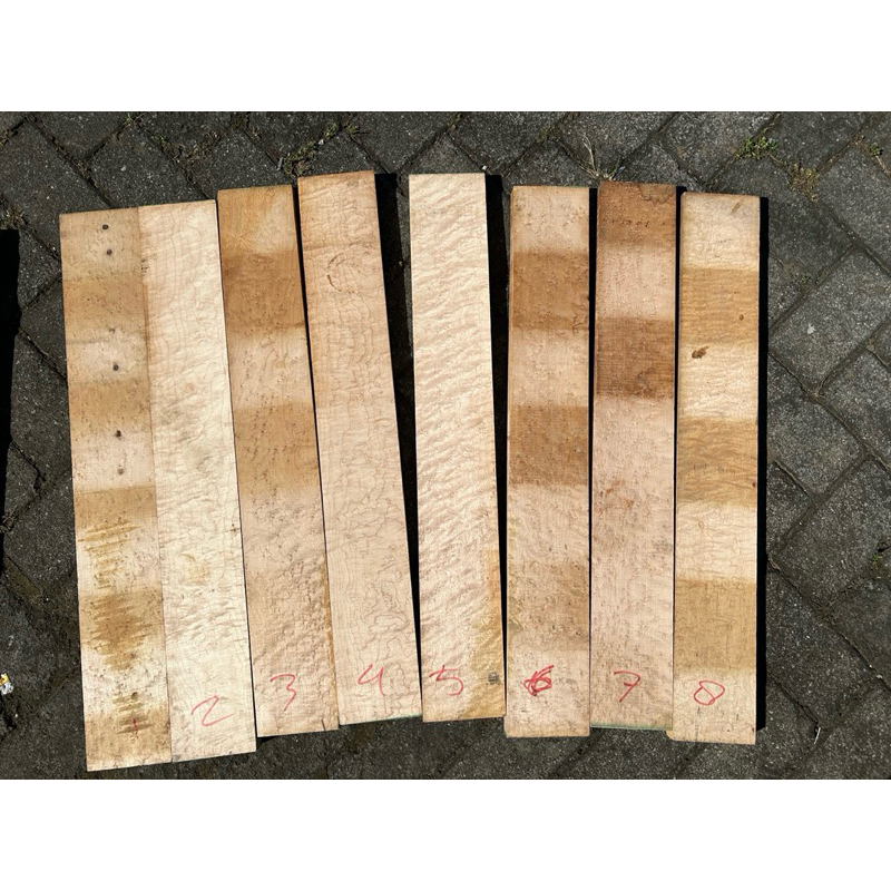 kayu birdseye maple bahan neck gitar guitar bird eye birdeye maple