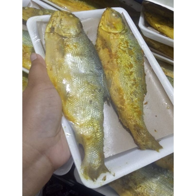 

bandeng presto isi 2 bandeng duri lunak khas pati semarang