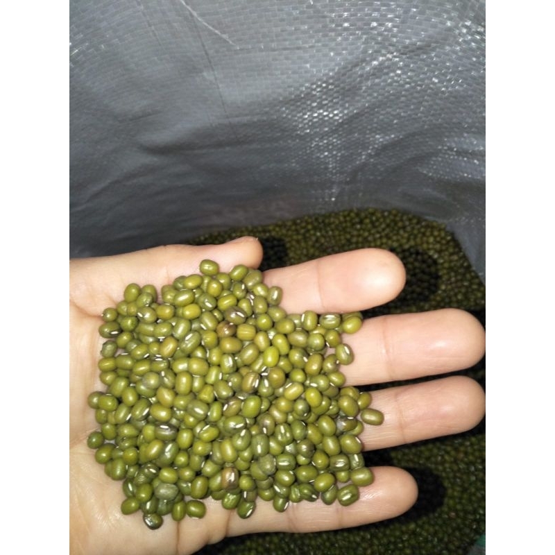 

KACANG HIJAU PREMIUM 1KG