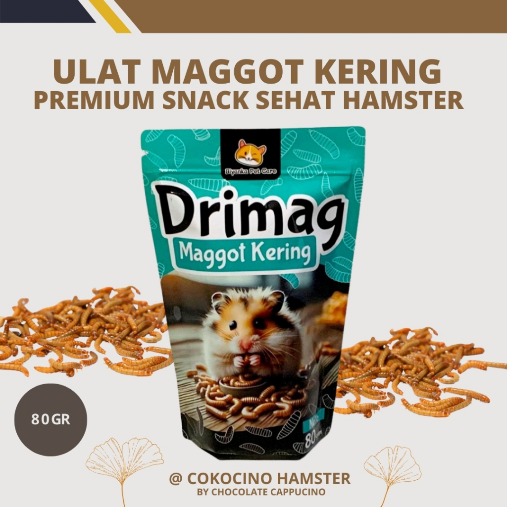 Ulat Magot Kering Drimag Dry Dried Maggot Snack Cemilan Protein Hamster Sugarglider Jogja Yogyakarta