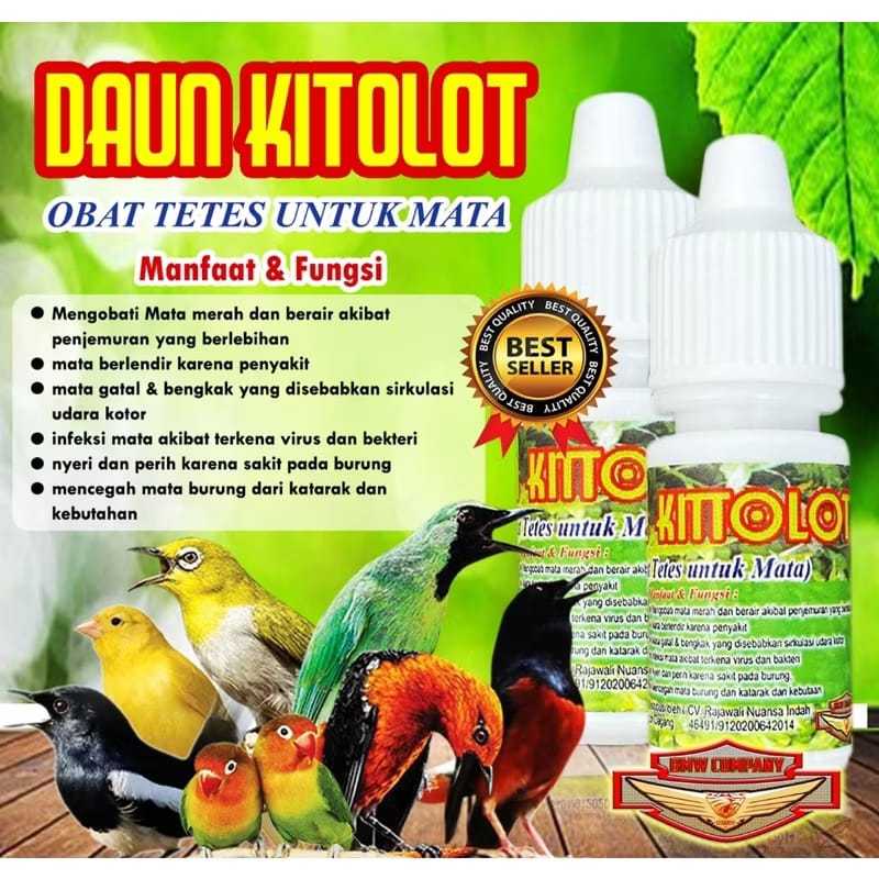 DAUN KITOLOT 5ml /obat mata/obat snot/katarak/lovebird mata snot