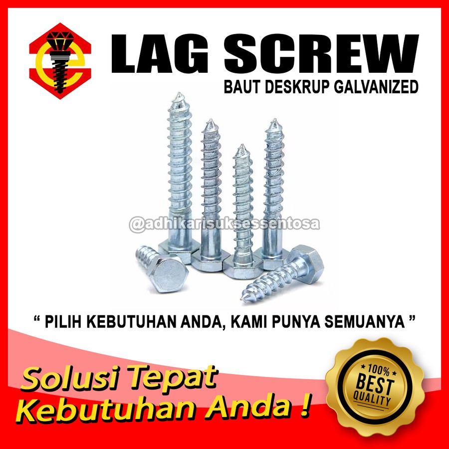 Galvanis / Hex Lag Screw M6 / Hexagon Deskrup 1/4x4" / Baut Kayu 10 CM Kunci 10