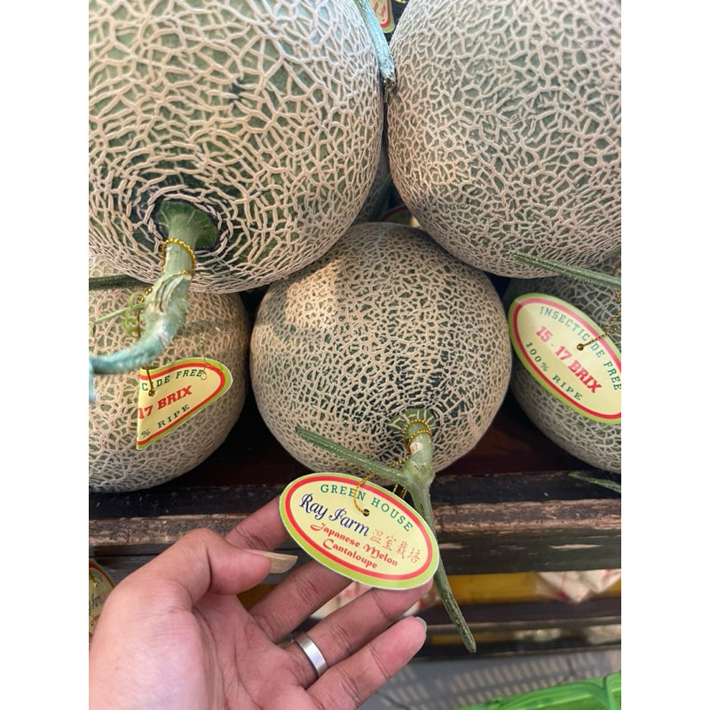 

Melon jepang | Melon cantalupe import sweet -+1,2kg