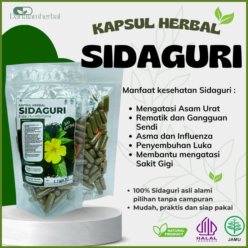 Kapsul Herbal SIDAGURI isi 100 kapsul | Kapsul Sejuta manfaat asli 100% Sidaguri Alami