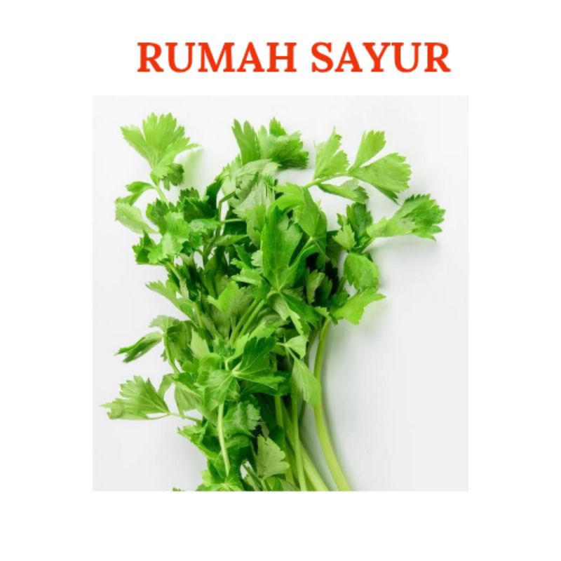 

Daun Pre dan Daun Sup