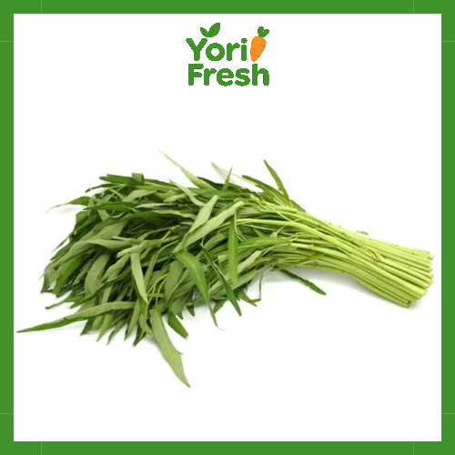 

[INSTAN/SAMEDAY] Sayur kangkung segar - 1 ikat