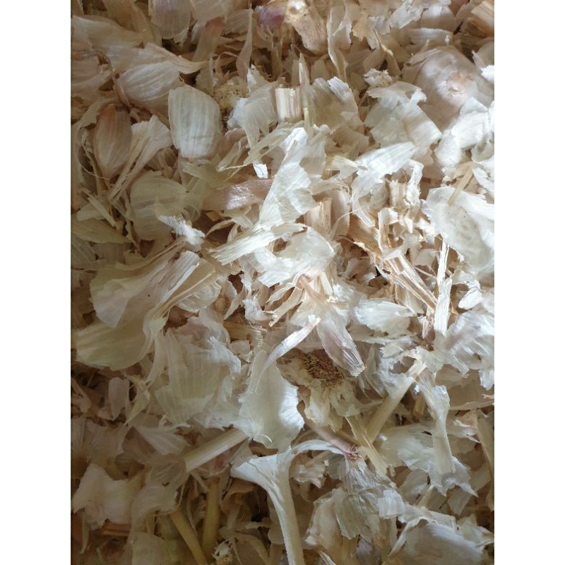

kulit bawang putih