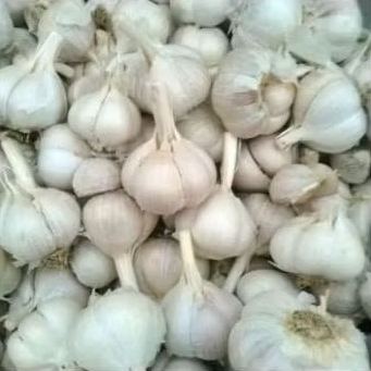 

BAWANG KATING BESIH 750GR