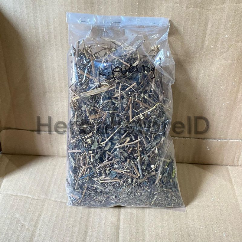 

Daun Kumis Kucing Kering Kemasan 100gram Alami