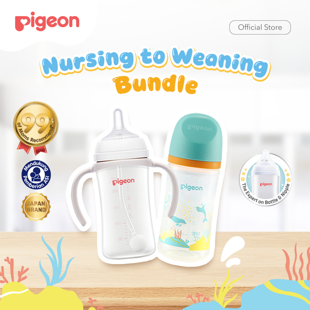 PIGEON Nursing to Weaning Bundle | Botol Susu Bayi