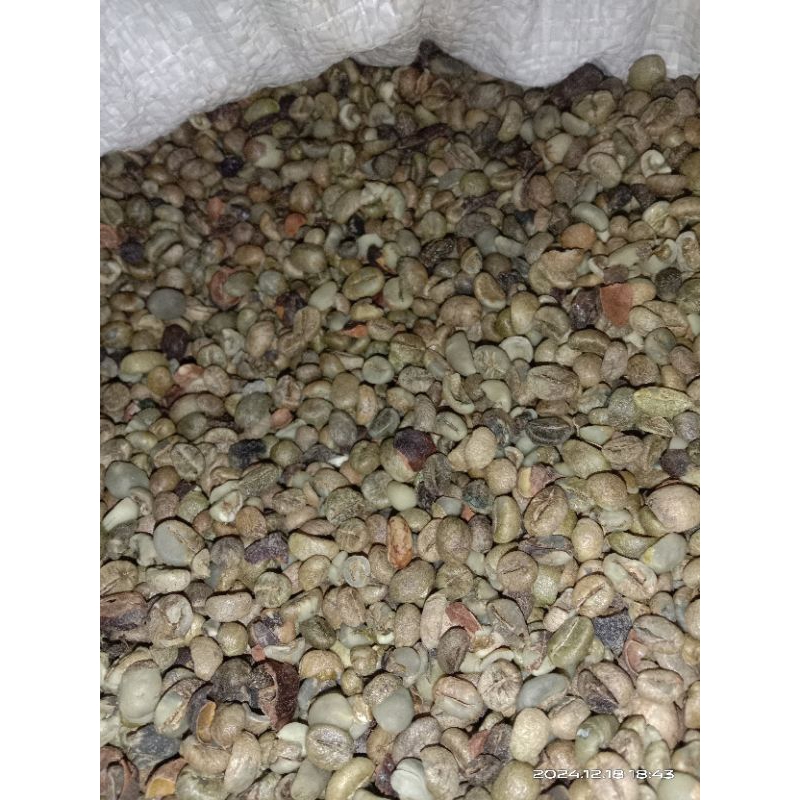 

kopi robusta asalan sumatera barat