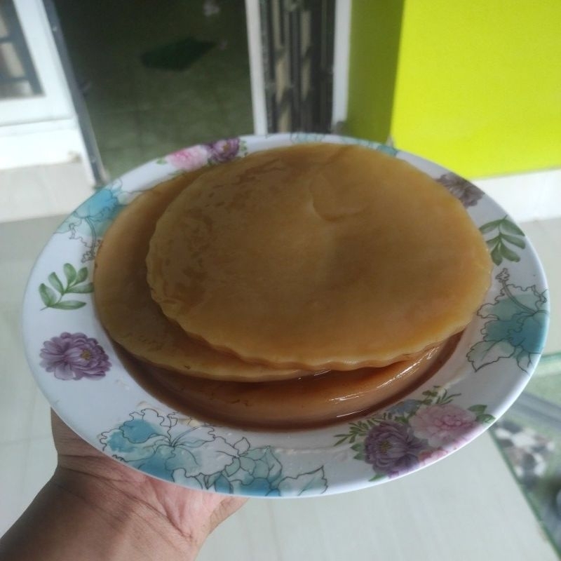 

Bibit SCOBY Kombucha