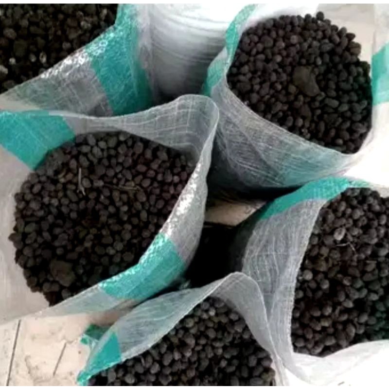 Kohe kambing murni butiran