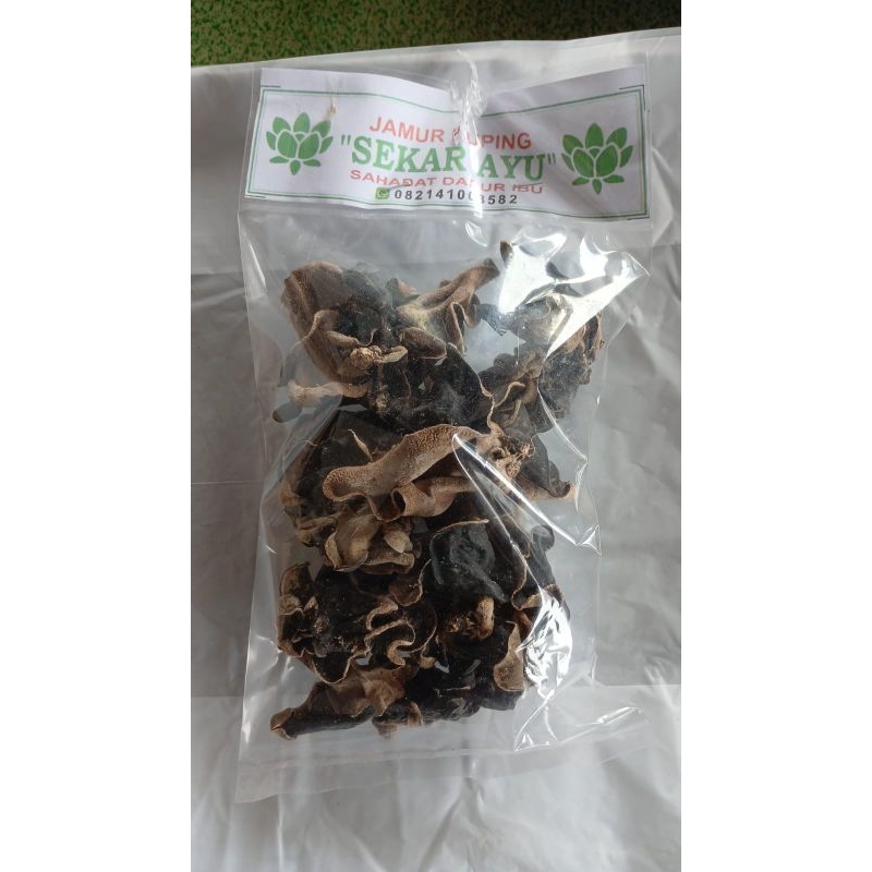 

JAMUR KUPING Sekar Ayu