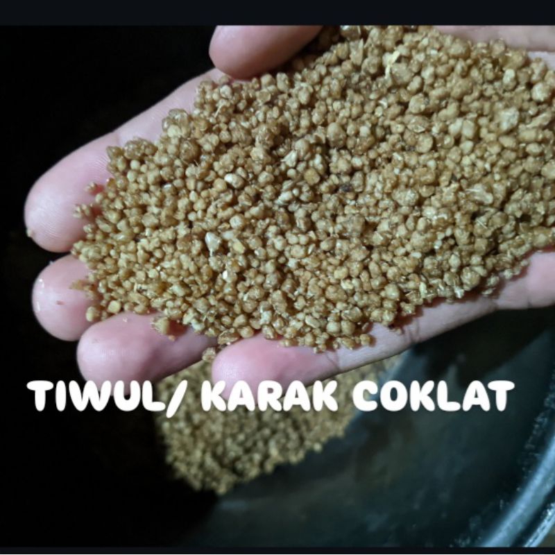 

TiIWUL /KARAK JAWA ASLII ENAK