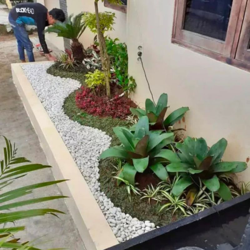 jasa taman minimalis batu