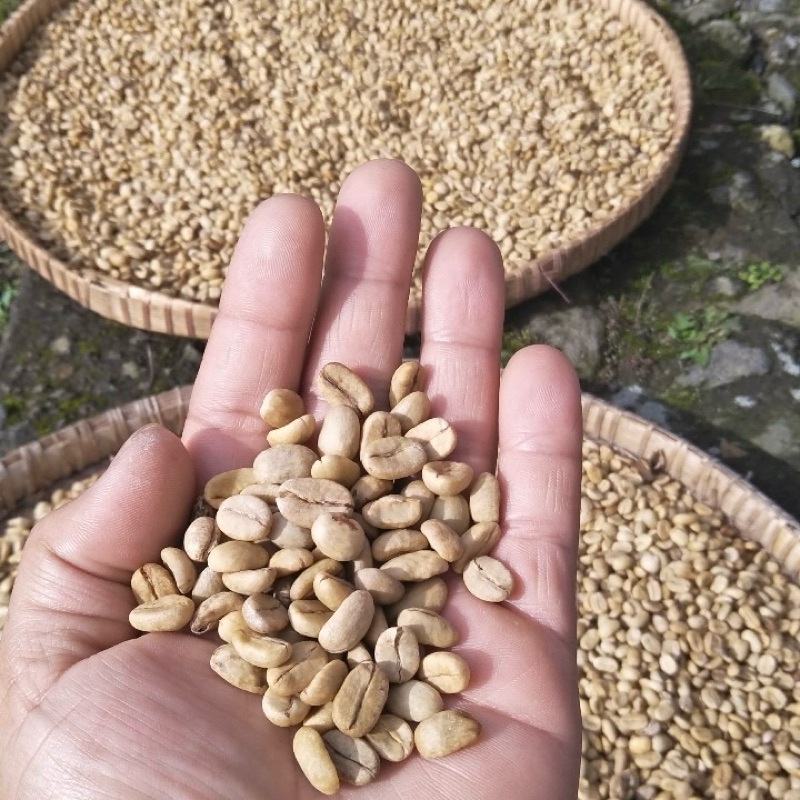 

Green Bean Honey Kopi Arabica Sindoro Sumbing 1 Kg - Lughu Coffee