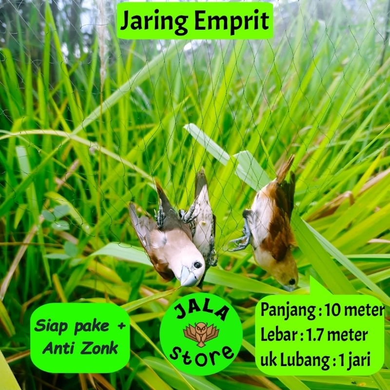 JARING BURUNG EMPRIT JARING BURUNG KECIL JARING BURUNG SAWAH JARING BURUNG PIPIT PEKING MURAH JARING