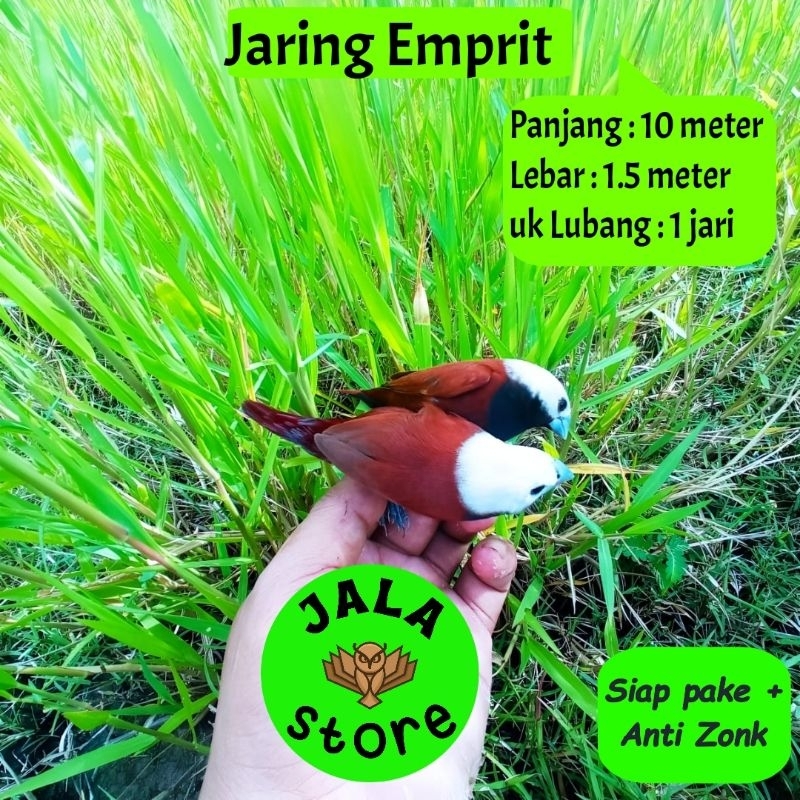 JARING BURUNG EMPRIT JARING BURUNG KECIL JARING BURUNG SAWAH JARING BURUNG PIPIT PEKING MURAH JARING