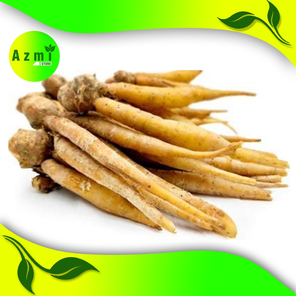 

temu kunci kwalitas super